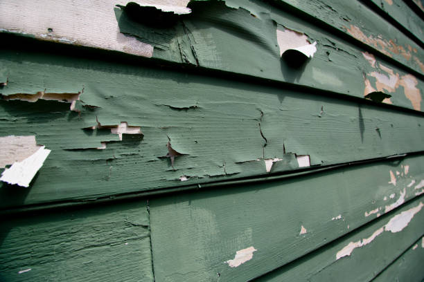 Best Residential Junk Removal  in Selma, CA